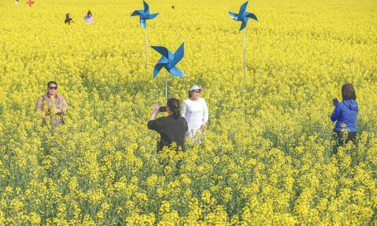 Spring rapeseed flowers attract sightseers in Yintriangle Huannan village in Nanchang city, East China’s Jiangxi Province on March 12, 2024. In recent days, the weather in Nanchang is warming up, and rape flowers have entered the blooming period. Photo: IC