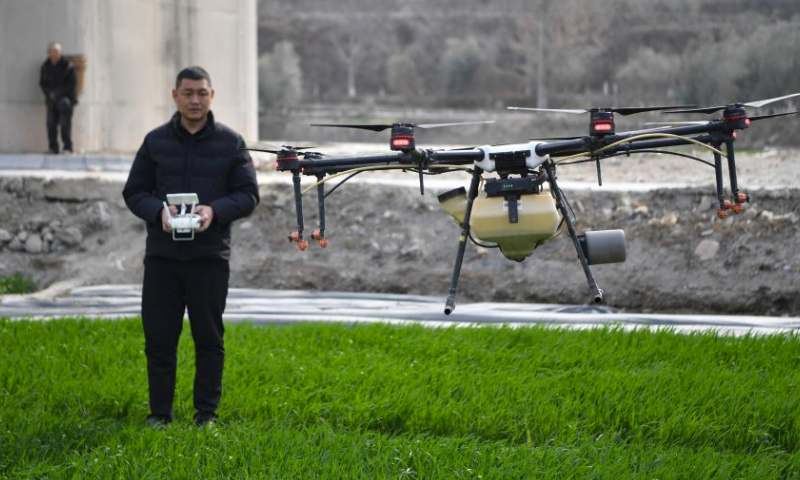 A technician operates a drone to fertilize a wheat field in Wudu District, Longnan City, northwest China's Gansu Province, March 9, 2024. Spring farming is being carried out to ensure the irrigation, fertilization, and weeding in the fields of 1.22 million mu (about 81,333 hectares) of winter wheat in Longnan City. (Xinhua/Chen Bin)