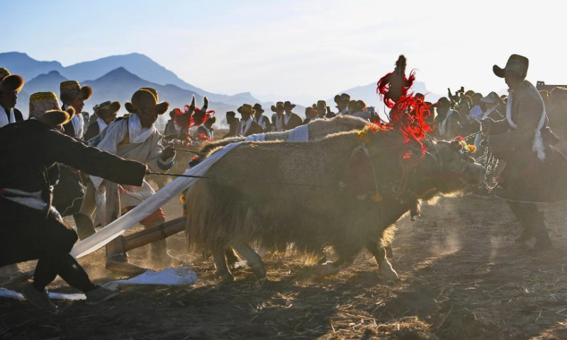Farmers participate in a ceremony marking the start of spring farming in Codoi Town in Lhunzhub County of Lhasa, southwest China's Xizang Autonomous Region, March 16, 2024. Ceremonies marking the start of spring farming were held in Xizang on Saturday during which farmers held chema (a wooden box filled with colorful grains and barley flour, symbolizing good luck and prosperity in Tibetan culture), sang songs, and toasted each other with barley wine. The ceremony holds great significance as it marks the beginning of a new year's farming season and serves as a prayer for favorable weather and bountiful harvests. It is considered an important ritual in the farming regions of Xizang. (Xinhua/Zhang Rufeng)