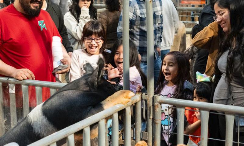 92nd Houston Rodeo held in Texas - Global Times