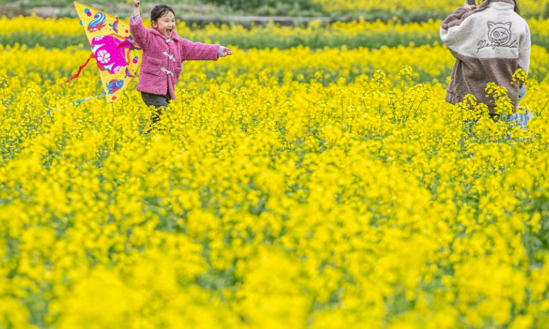 A girl flies a kite amid blooming yellow canola flowers in Changsheng Town of Pengshui Miao and Tujia Autonomous County, southwest China's Chongqing, March 16, 2024. Changsheng Town has made efforts to inject new vitality into rural revitalization in recent years. The town has built a demonstration base where farmers cultivate paddy rice and cole in rotation, and held a variety of agritourism activities to improve farmers' incomes. (Xinhua/Tang Yi)