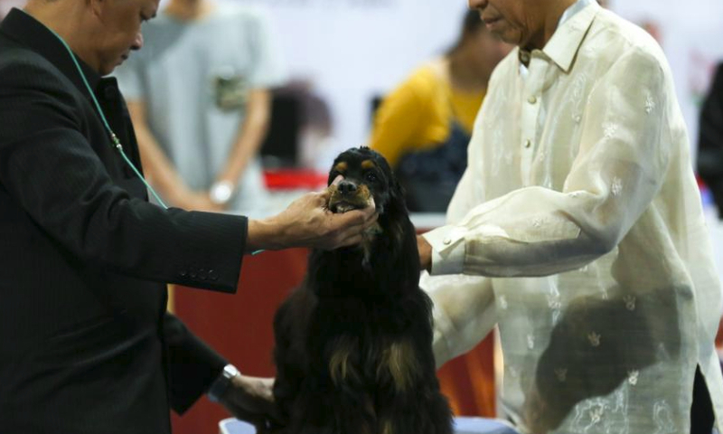 A judge checks a pet dog at a pet expo in Yangon, Myanmar, March 10, 2024. The pet expo is held here from March 9 to March 10. (Photo by Myo Kyaw Soe/Xinhua)