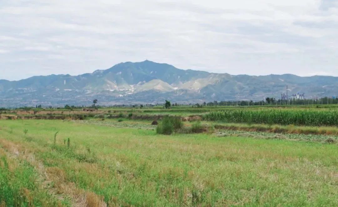 An overview of the Taosibei cemetery site in Xiangfen county?in the city of Linfen, North China's Shanxi Province Photo: Courtesy of the Shanxi Institute of Cultural Relics and Archaeology 
