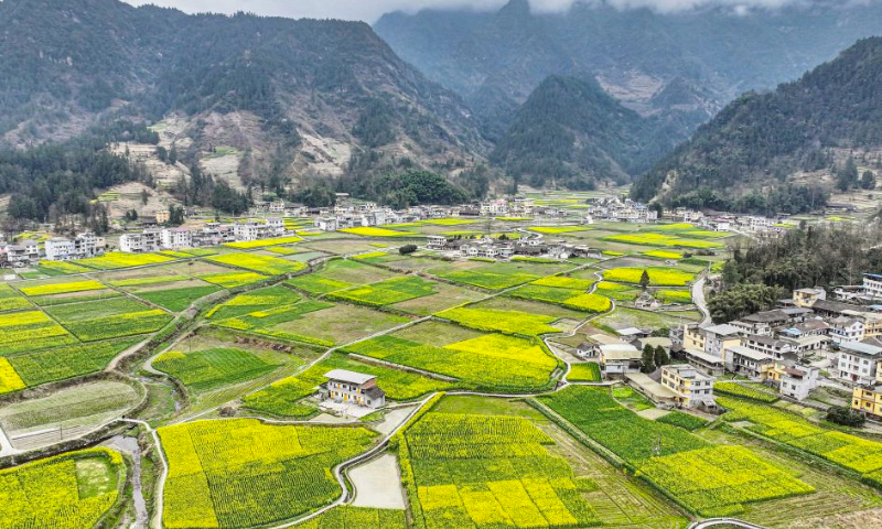 An aerial drone photo taken on March 16, 2024 shows fields of yellow canola flowers in Changsheng Town of Pengshui Miao and Tujia Autonomous County, southwest China's Chongqing. Changsheng Town has made efforts to inject new vitality into rural revitalization in recent years. The town has built a demonstration base where farmers cultivate paddy rice and cole in rotation, and held a variety of agritourism activities to improve farmers' incomes. (Xinhua/Tang Yi)

