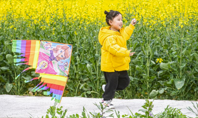 A girl flies a kite amid blooming yellow canola flowers in Changsheng Town of Pengshui Miao and Tujia Autonomous County, southwest China's Chongqing, March 16, 2024. Changsheng Town has made efforts to inject new vitality into rural revitalization in recent years. The town has built a demonstration base where farmers cultivate paddy rice and cole in rotation, and held a variety of agritourism activities to improve farmers' incomes. (Xinhua/Tang Yi)
