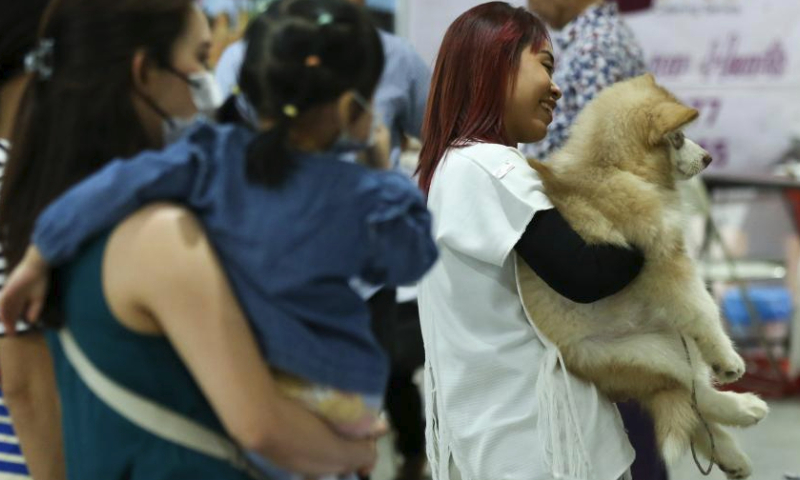 People visit a pet expo in Yangon, Myanmar, March 10, 2024. The pet expo is held here from March 9 to March 10. (Photo by Myo Kyaw Soe/Xinhua)