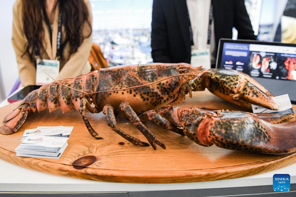 A vendor prepares free food samples at the 2024 Seafood Expo North America in Boston, Massachusetts, the United States, March 10, 2024. North America's largest seafood exposition Seafood Expo North America kicked off in Boston on Sunday, drawing participants from over 45 countries and regions. Going hand in hand with Seafood Processing North America, the three-day event highlights innovations around sustainability and aquaculture from emerging startups and legacy brands on both the processing and seafood side.(Photo: Xinhua)