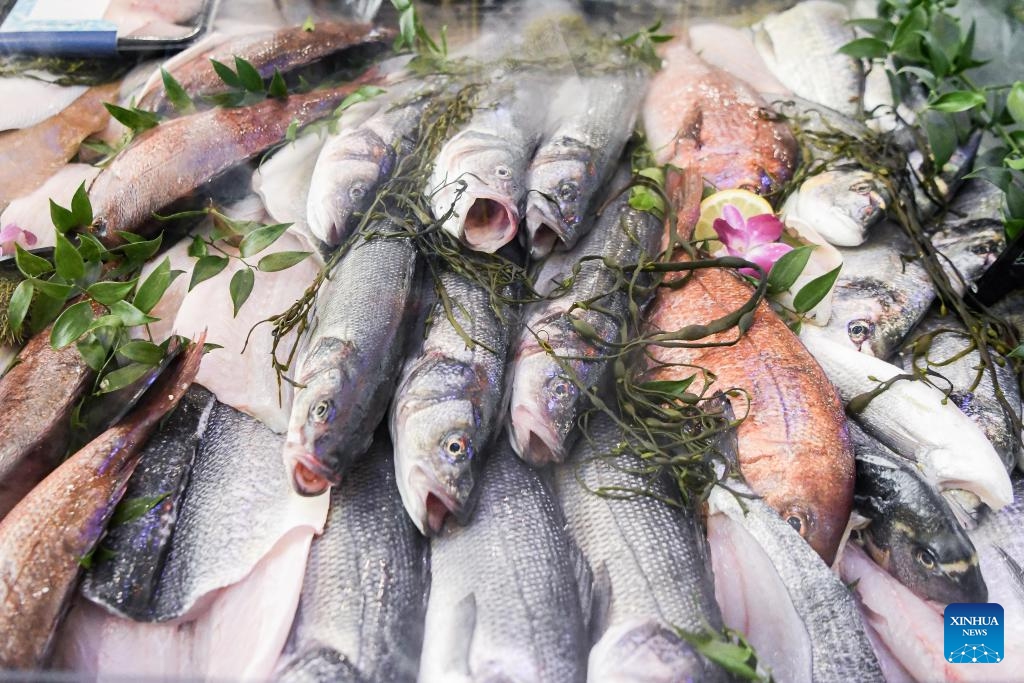Seafood samples are displayed at the 2024 Seafood Expo North America in Boston, Massachusetts, the United States, March 10, 2024. North America's largest seafood exposition Seafood Expo North America kicked off in Boston on Sunday, drawing participants from over 45 countries and regions. Going hand in hand with Seafood Processing North America, the three-day event highlights innovations around sustainability and aquaculture from emerging startups and legacy brands on both the processing and seafood side.(Photo: Xinhua)