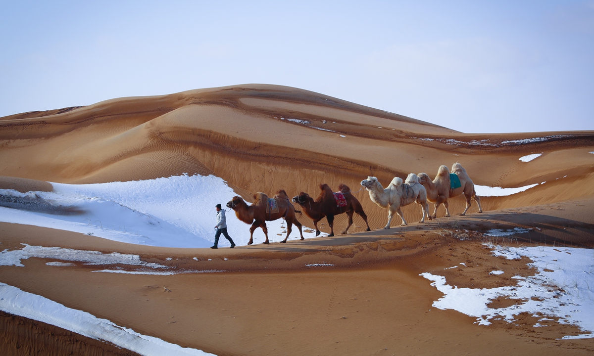 Unique winter desert tours in Ningxia