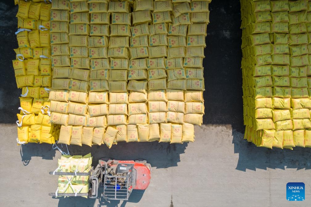 An aerial drone photo shows a worker transporting chemical fertilizer at the freight yard of Zhaodong Station, Daqing depot of China Railway Harbin Bureau Group Co., Ltd., northeast China's Heilongjiang Province, March 13, 2024. As spring farming activities is about to start in Heilongjiang, a major grain producing province, China Railway Harbin Bureau Group Co., Ltd. has established a regular contact mechanism involving local fertilizer dealers, with more than 500,000 tonnes of fertilizer transported since the beginning of 2024.(Photo: Xinhua)