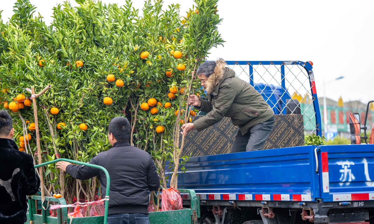  With the arrival of the best season for tree planting in spring, the seedling market is booming in Jinhua, East China's Zhejiang Province on February 20, 2024. Photo: VCG