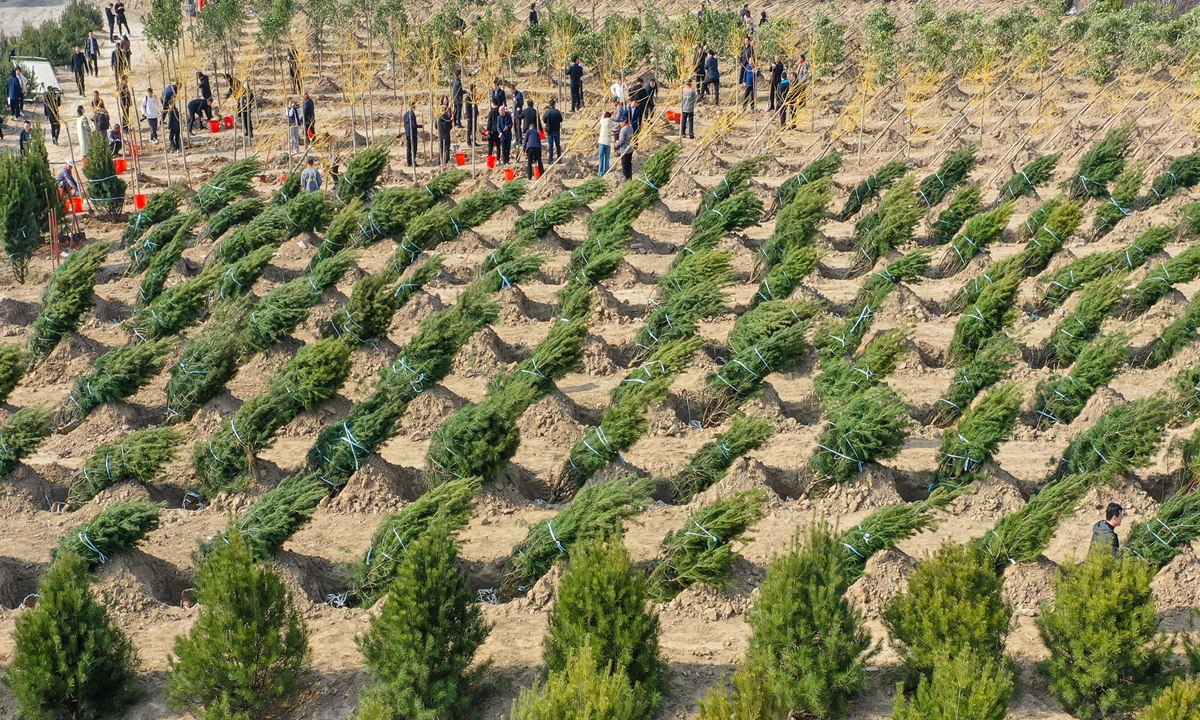 Jovens voluntários plantam árvores voluntariamente na cidade de Yuncheng, província de Shanxi, norte da China, em 12 de março de 2024. Foto: VCG