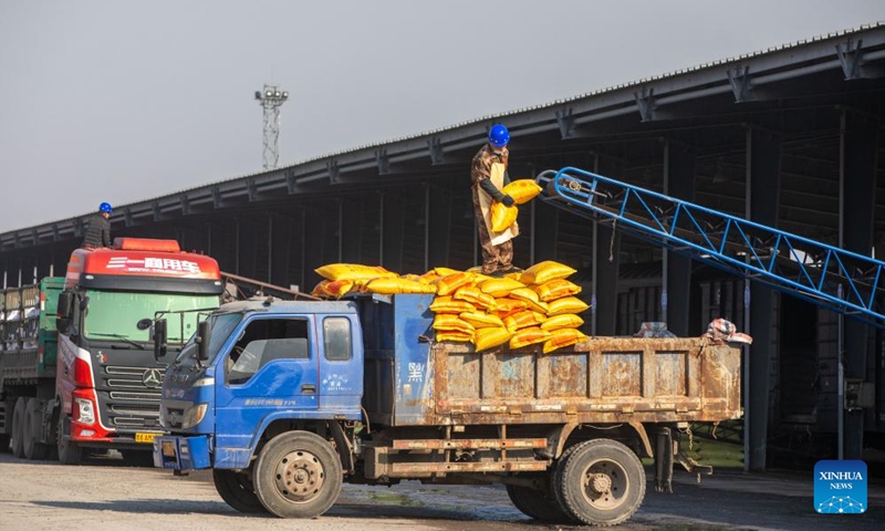 A worker carries chemical fertilizer at the freight yard of Zhaodong Station, Daqing depot of China Railway Harbin Bureau Group Co., Ltd., northeast China's Heilongjiang Province, March 13, 2024. As spring farming activities is about to start in Heilongjiang, a major grain producing province, China Railway Harbin Bureau Group Co., Ltd. has established a regular contact mechanism involving local fertilizer dealers, with more than 500,000 tonnes of fertilizer transported since the beginning of 2024.(Photo: Xinhua)