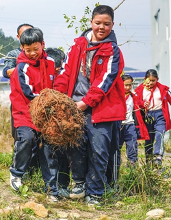 Em 12 de março de 2024, alunos da Chengguan No. 4 Primary School no condado de Congjiang plantam árvores em Qiandongnan Miao e Dong Autonomous Prefecture, na província de Guizhou, sudoeste da China. Foto: VCG