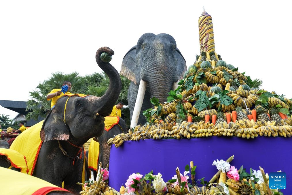 Elephants eat fruits during an elephant buffet marking the Thai National Elephant Day at Nong Nooch Tropical Garden in Pattaya, Thailand, March 13, 2024.(Photo: Xinhua)