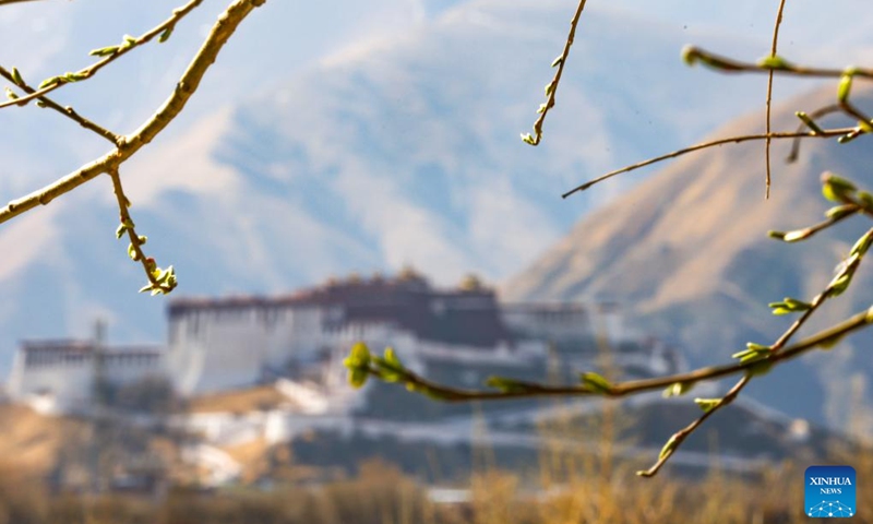 This photo taken on March 14, 2024 shows the spring scenery in Lhasa, southwest China's Xizang Autonomous Region.(Photo: Xinhua)
