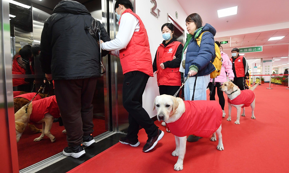Visually impaired persons receive newly graduated guide dogs in Beijing on December 3, 2023. Photos: VCG