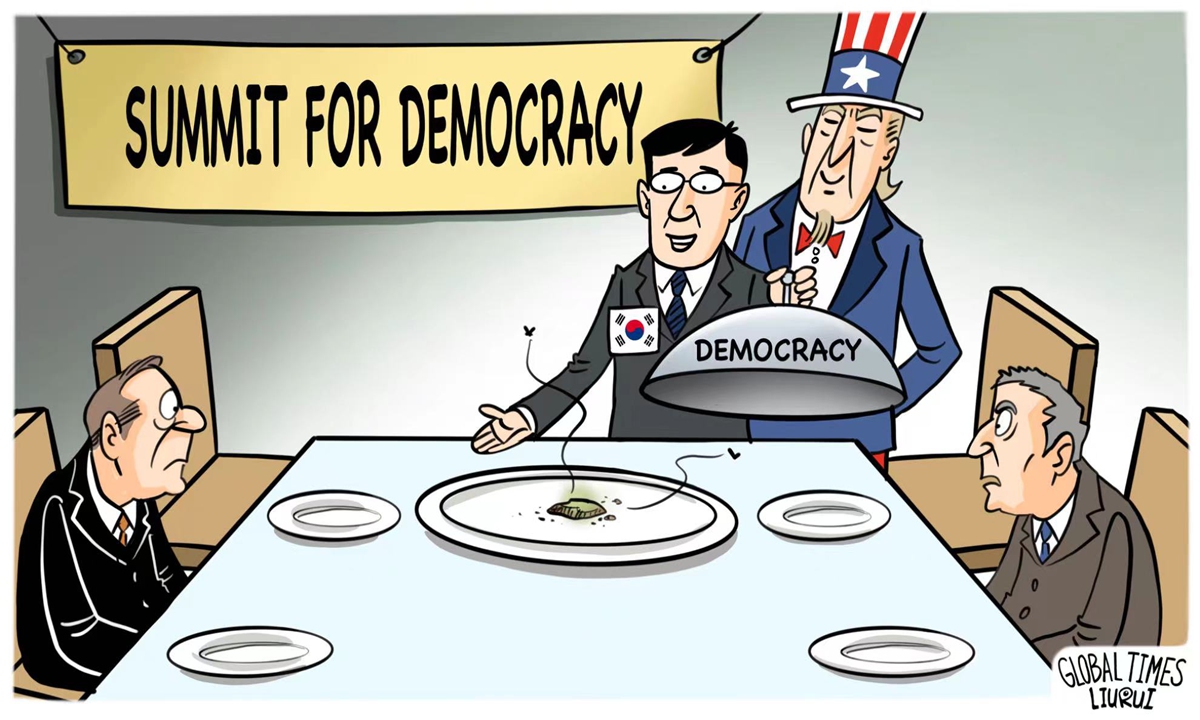 Democracy farce.Illustration: Liu Rui/GT