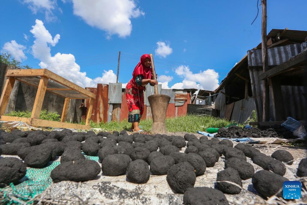 A member of a women's group uses coconut shells, dried banana peels and dried cassava stalks to make charcoal at a street workshop in Dar es Salaam, Tanzania, on March 16, 2024.(Photo: Xinhua)