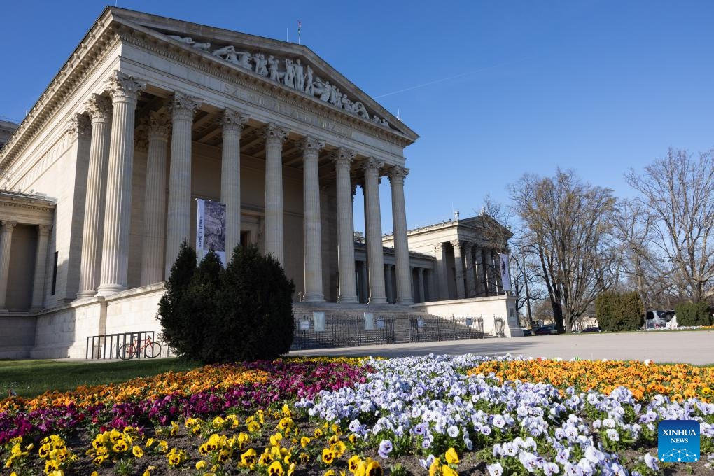 Flowers are seen blooming in front of the Museum of Fine Arts in Budapest, Hungary, March 17, 2024.(Photo: Xinhua)