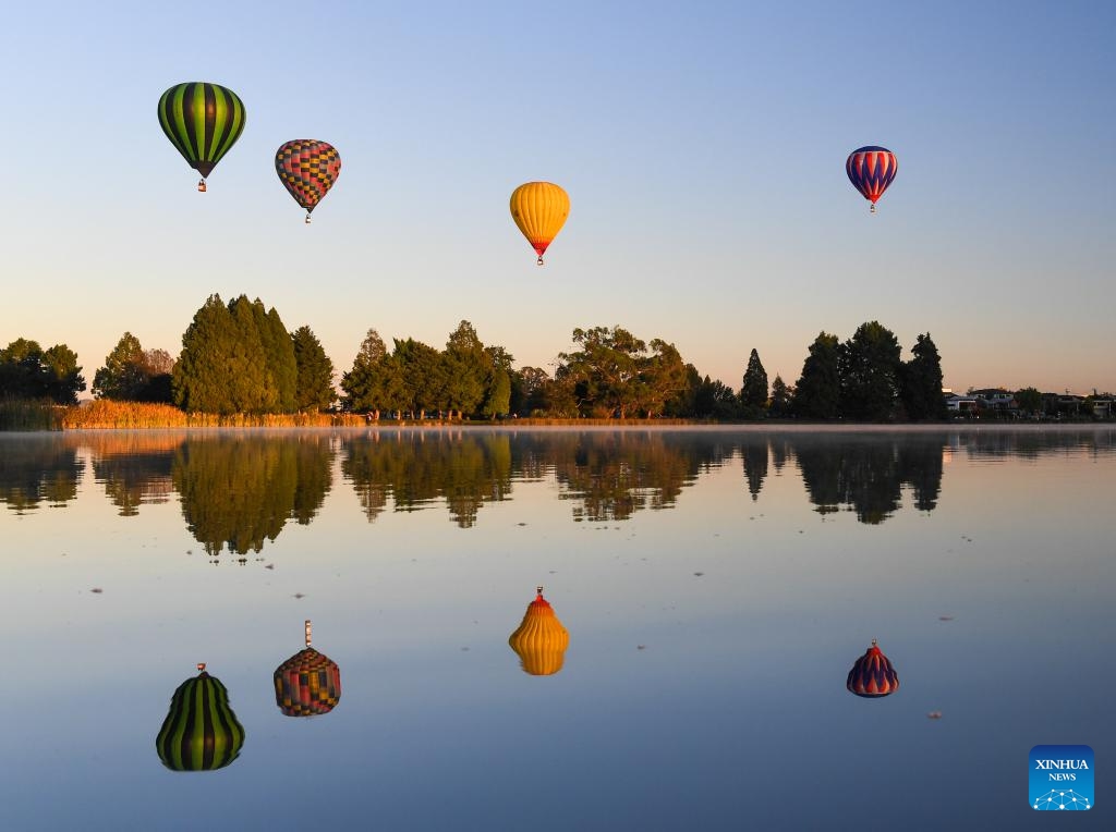 Hot-air balloons are seen during the Balloons Over Waikato Festival in Hamilton, New Zealand, March 20, 2024. The festival is held here from March 19 to 23 this year(Photo: Xinhua)