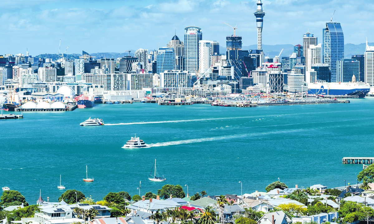 A view of Auckland city Photo: VCG