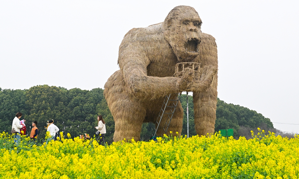 Visitors enjoyed the golden yellow beauty of the blooming rapeseed flowers on March 24 during a spring village tour in Suzhou, East China's Jiangsu Province. Photos: CFP
