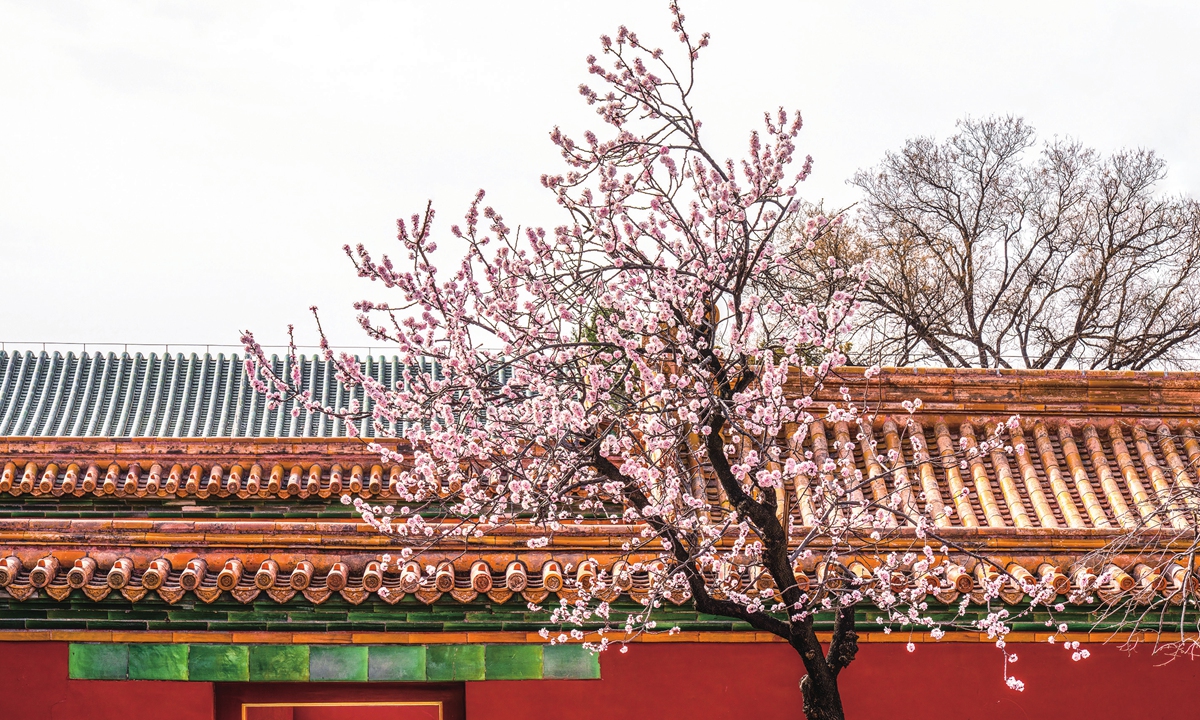 The Palace Museum Photo: VCG