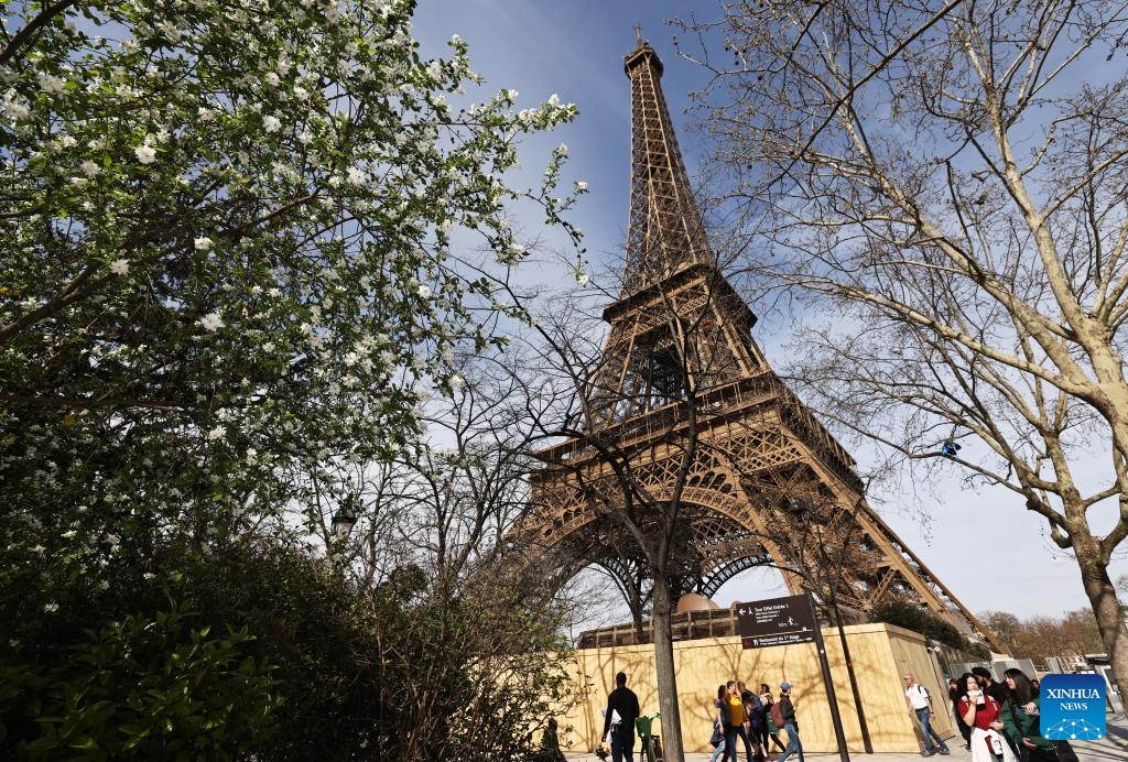 Trees bloom at the Champ de Mars near the Eiffel Tower in Paris, France, March 20, 2024.(Photo: Xinhua)