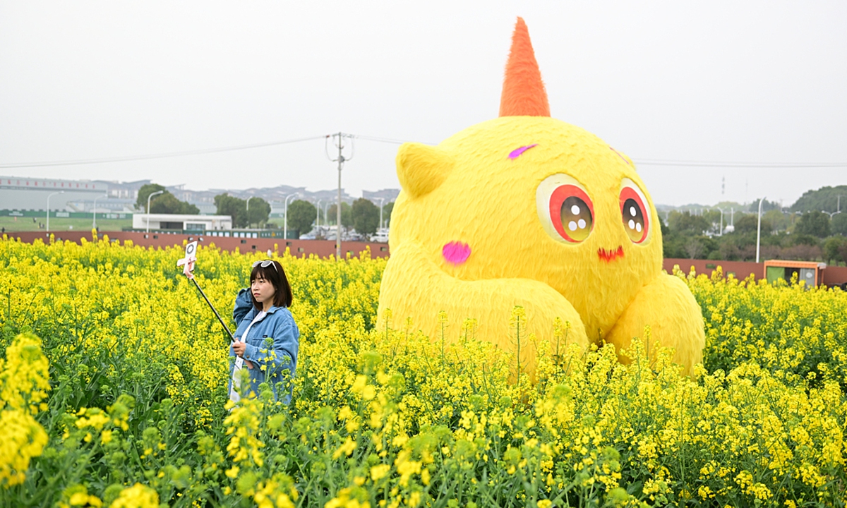 Visitors enjoyed the golden yellow beauty of the blooming rapeseed flowers on March 24 during a spring village tour in Suzhou, East China's Jiangsu Province. Photos: CFP