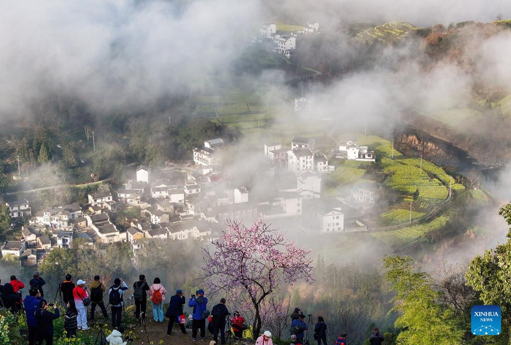 An aerial drone photo shows tourists admiring spring scenery in Shitan Village of Xiakeng Town, Huangshan City, east China's Anhui Province, March 20, 2024. Wednesday marks the spring equinox, or Chunfen in Chinese, the fourth solar term in the Chinese lunar calendar, this year. After the spring equinox, the days get longer, the weather becomes warmer and plants start to grow fast.(Photo: Xinhua)