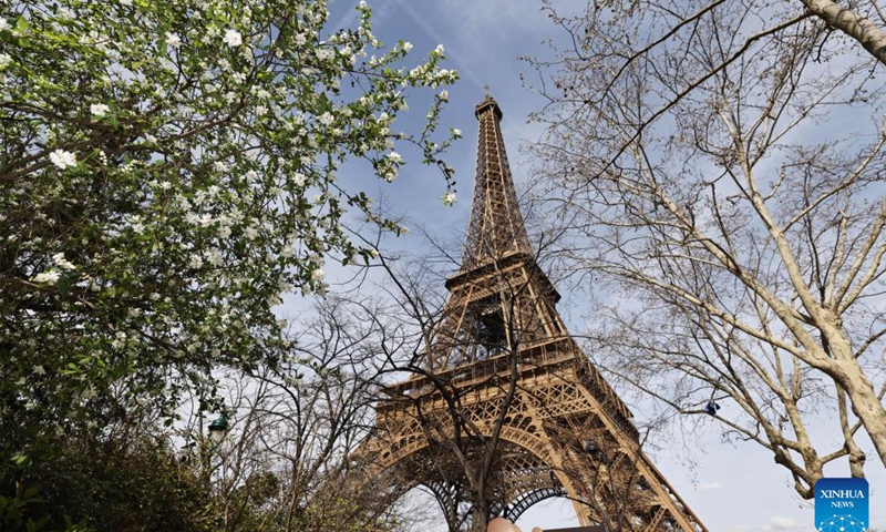 Trees bloom at the Champ de Mars near the Eiffel Tower in Paris, France, March 20, 2024.(Photo: Xinhua)
