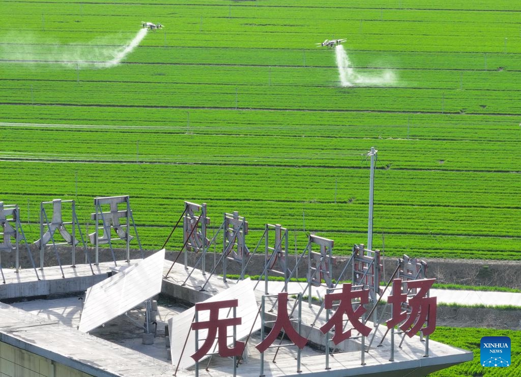 A drone photo taken on March 19,<strong>high quality ddc fuel filter</strong> 2024 shows drones spraying pesticides on the crops at the smart farm at Shuanglou Village, Bozhou City of east China's Anhui Province. By introducing IT technologies like Internet of Things, Big Data and Artificial Intelligence, Jiao Rui, a young farmer born in the 1990s, has set up a smart decision making system on his farm which greatly improved the production efficiency.(Photo: Xinhua)