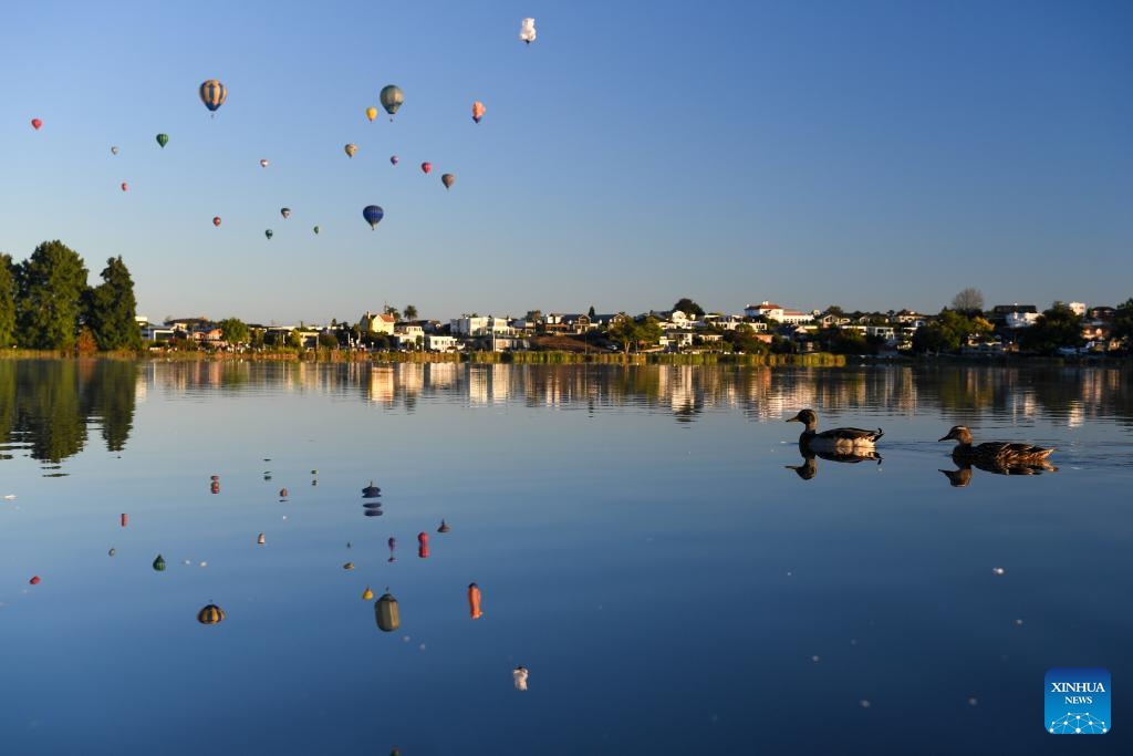 Hot-air balloons are seen during the Balloons Over Waikato Festival in Hamilton, New Zealand, March 20, 2024. The festival is held here from March 19 to 23 this year(Photo: Xinhua)