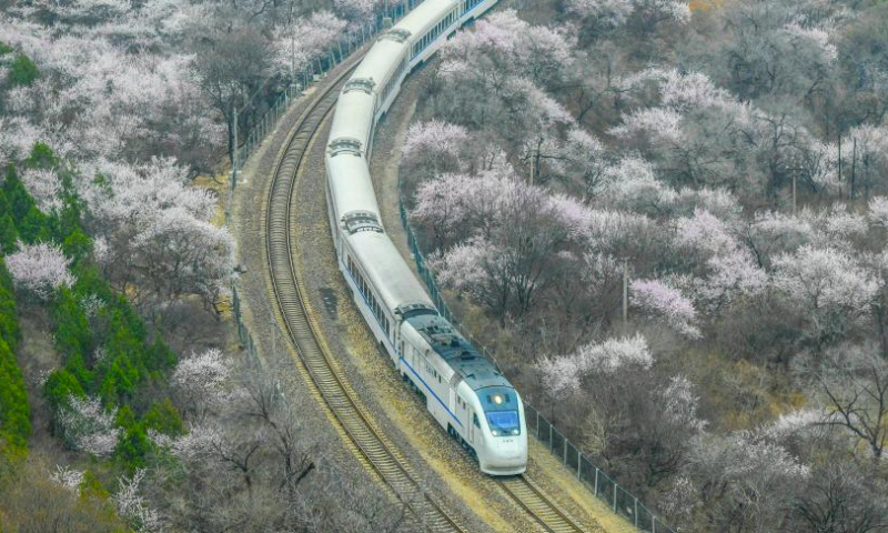 A train runs amid blooming flowers near the Juyongguan section of the Great Wall in Beijing, capital of China, March 24, 2024. (Photo by Liu Mancang/Xinhua)