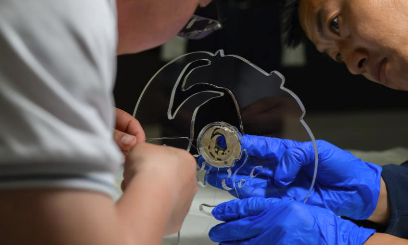 Staff members make preparations for display of the jade phoenix at the Panlongcheng Site Museum in Wuhan, central China's Hubei Province, March 30, 2024. The jade phoenix, which has been kept by the National Museum of China, was introduced to the exhibition Mythological Jade of Shijiahe Culture at the Panlongcheng Site Museum in Wuhan on Saturday.
This is the first time that the jade phoenix has returned to Hubei since it was unearthed at the Shijiahe site in Tianmen of Hubei in 1955. (Xinhua/Hu Jingwen)