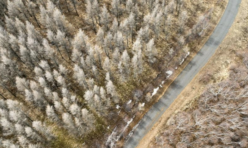 An aerial drone photo taken on April 4, 2024 shows a view of Daqingshan Nature Reserve in Hohhot, north China's Inner Mongolia Autonomous Region. (Xinhua/Bei He)