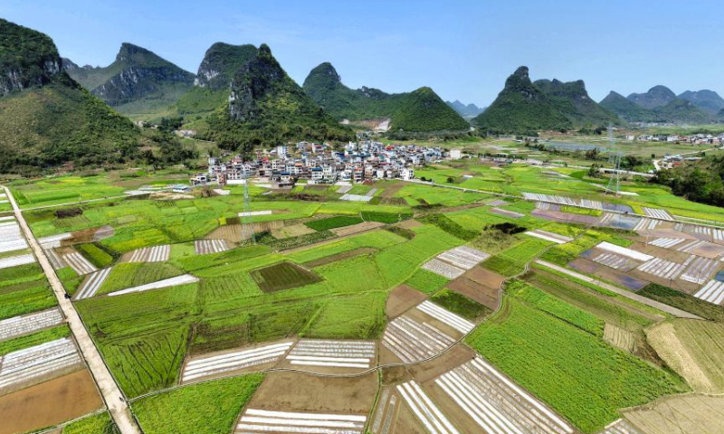 An aerial drone photo taken on March 19, 2024 shows a view of the Shimen Village in Luocheng Mulao Autonomous County, Hechi City of south China's Guangxi Zhuang Autonomous Region. (Photo by Liao Guangfu/Xinhua)