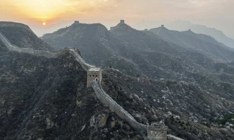 This aerial drone photo taken on April 6, 2024 shows the spring scenery at the Jinshanling section of the Great Wall in Luanping County, north China's Hebei Province. (Photo by Wang Liqun/Xinhua)