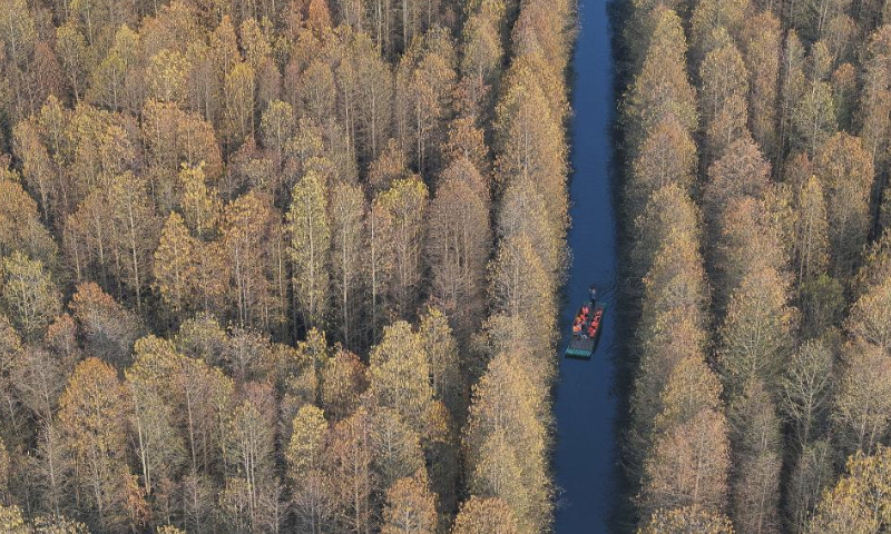 An aerial drone photo shows tourists taking a bamboo raft at Jinhu water forest scenic spot in Jinhu County, east China's Jiangsu Province, March 30, 2024. (Xinhua/Ji Chunpeng)