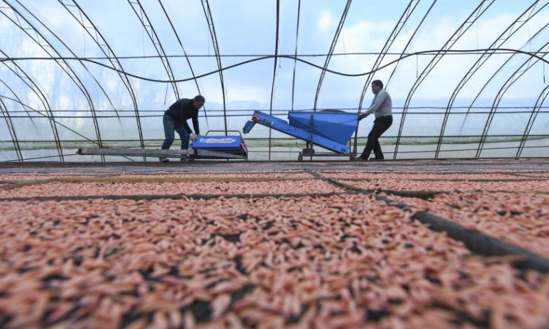 Workers operate machines to cover the sown seeds with soil at a greenhouse for paddy rice seedling in Shuangyashan City, northeast China's Heilongjiang Province, April 4, 2024. Heilongjiang, known as the country's grain barn and well noted for its high-quality rice produce, has kicked off paddy rice sowing operations. (Xinhua/Wang Song)