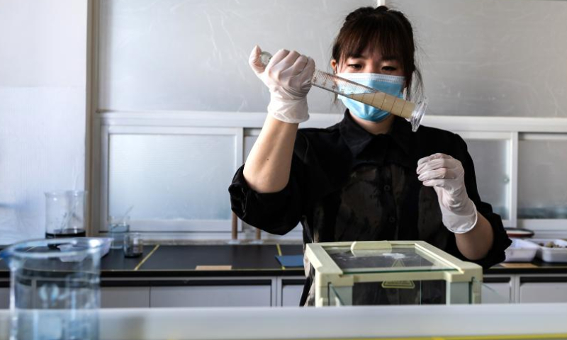 A staff member performs product tests at a laboratory of a cat litter manufacturer in Ningcheng County, Chifeng City, north China's Inner Mongolia Autonomous Region, March 14, 2024. (Photo by Qi Xuetao/Xinhua)