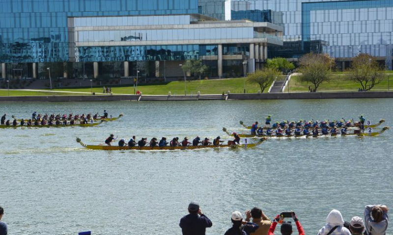 Participants compete on the Tempe Town Lake in Tempe, Arizona, the United States, March 23, 2024. The 18th Annual Arizona Dragon Boat Festival, hosted by Arizona Dragon Boat Association, was held on March 23 and 24. (Photo by Sui Xuguang/Xinhua)