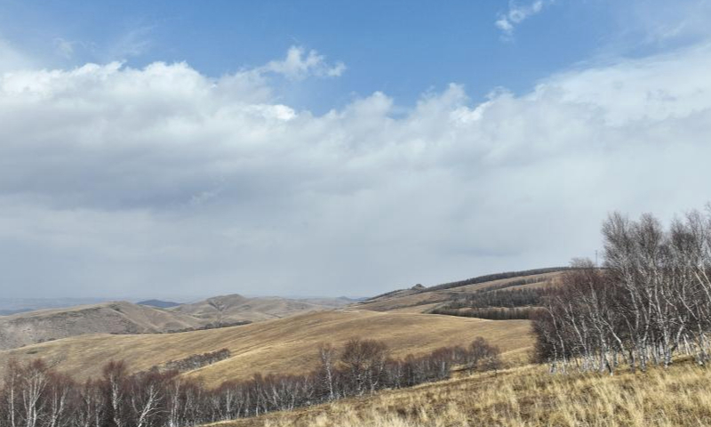 An aerial drone photo taken on April 4, 2024 shows a view of Daqingshan Nature Reserve in Hohhot, north China's Inner Mongolia Autonomous Region. (Xinhua/Bei He)
