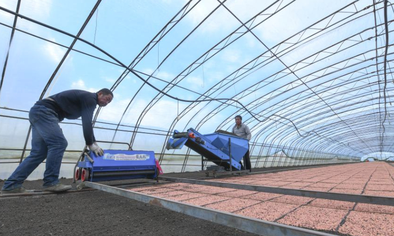 Workers operate machines to cover the sown seeds with soil at a greenhouse for paddy rice seedling in Shuangyashan City, northeast China's Heilongjiang Province, April 4, 2024. Heilongjiang, known as the country's grain barn and well noted for its high-quality rice produce, has kicked off paddy rice sowing operations. (Xinhua/Wang Song)