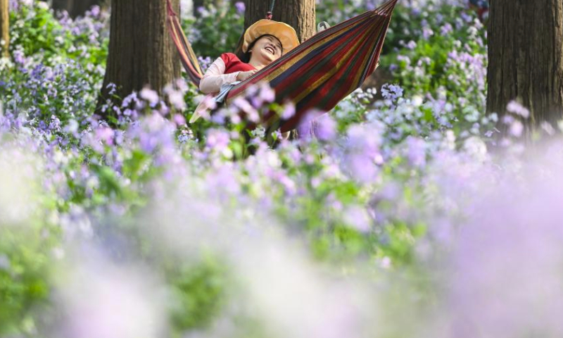 Tourists relax amid flowers at Jinhu water forest scenic spot in Jinhu County, east China's Jiangsu Province, March 30, 2024. (Xinhua/Ji Chunpeng)