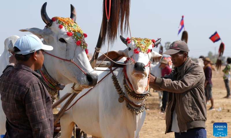 Contestants prepare their oxen for an ox cart race in Kampong Speu province, Cambodia, on April 7, 2024. At dawn on Sunday, Cambodian villagers gathered to race their ox carts across a field, reviving centuries-old tradition in the Southeast Asian nation. (Photo by Sovannara/Xinhua)