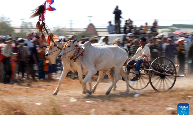 A contestant races his ox cart in Kampong Speu province, Cambodia, on April 7, 2024. At dawn on Sunday, Cambodian villagers gathered to race their ox carts across a field, reviving centuries-old tradition in the Southeast Asian nation. (Photo by Sovannara/Xinhua)