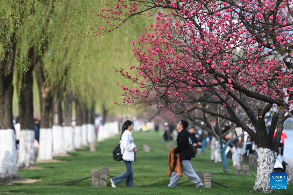 Tourists visit the West Lake scenic area in Hangzhou, east China's Zhejiang Province, March 26, 2024.(Photo: Xinhua)