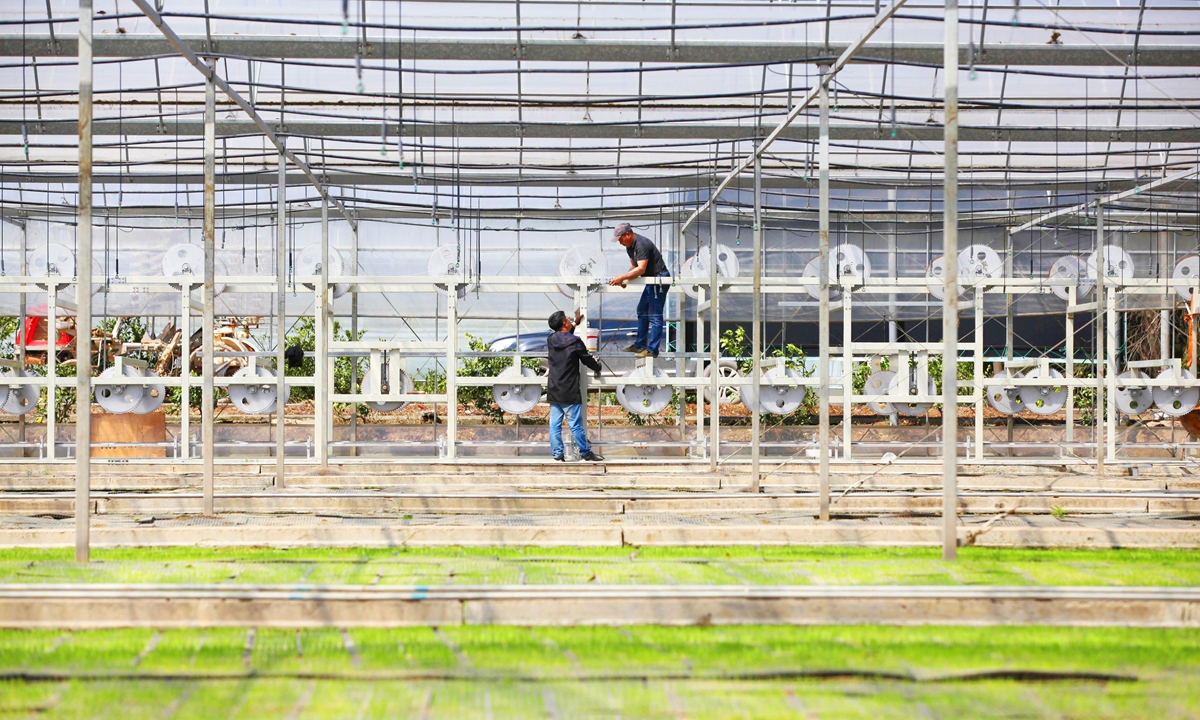 Technicians install a three-dimensional circulating motion seedling bed at the Guocong Seedling Supply Service Center in Wenling city, Taizhou, East China's Zhejiang Province, on March 26, 2024. Photo: VCG